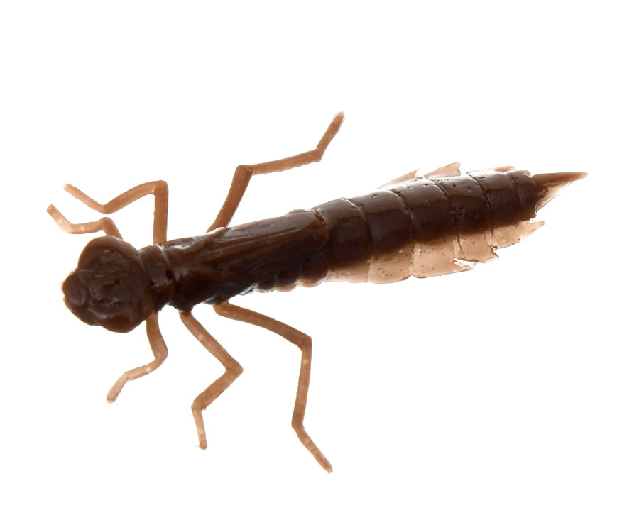 Силікон Fishup Dragonfly 1.7"